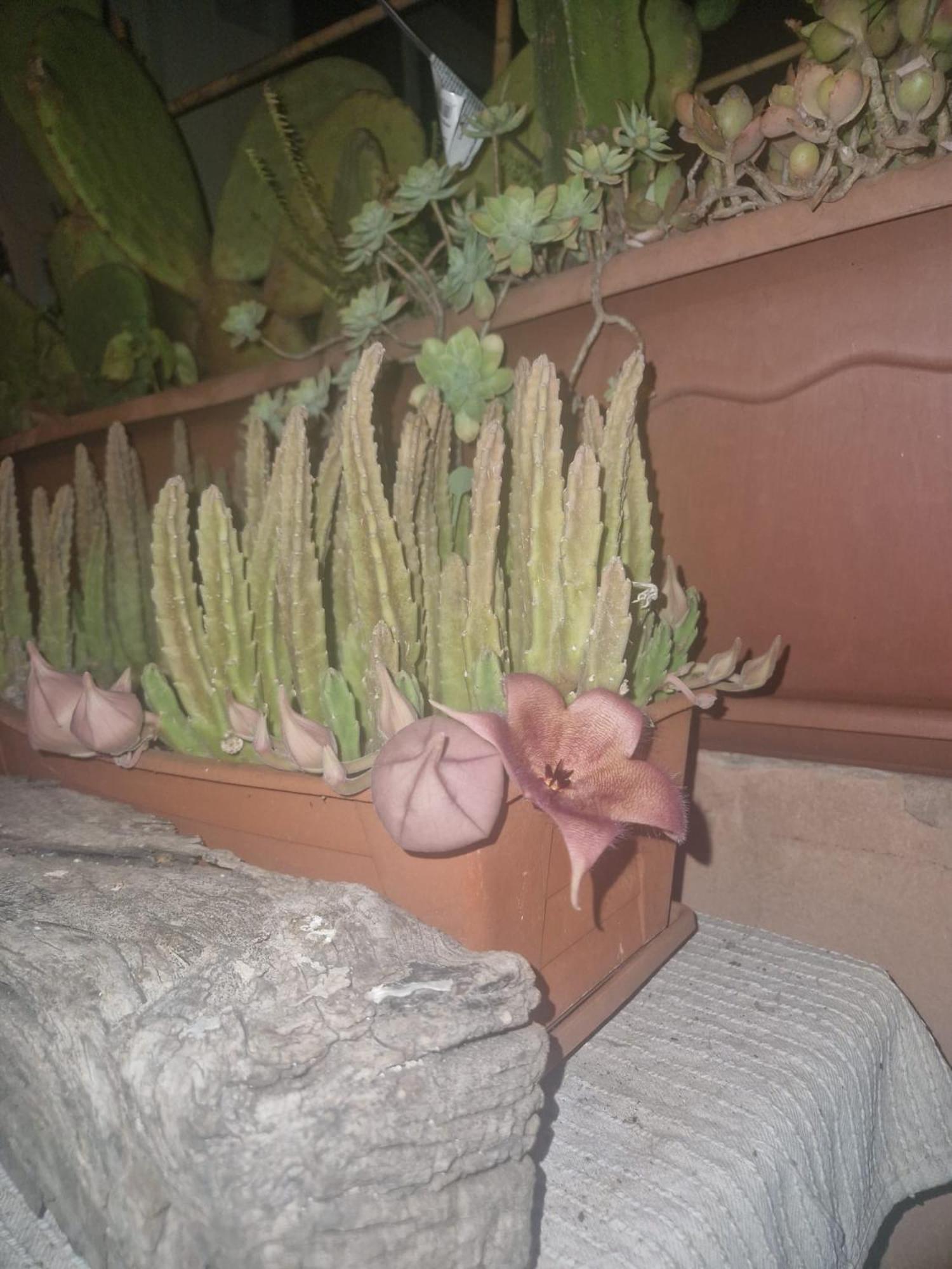 La Casa Di Melina - Home Book & Green Lovely Terrace ปาคีโน ภายนอก รูปภาพ